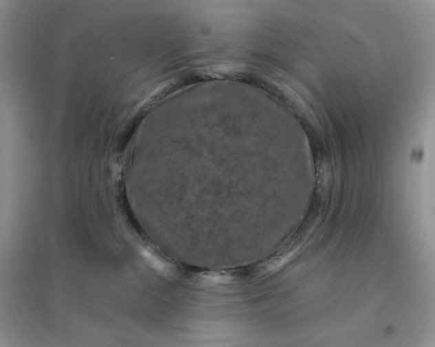 X0000096410284200802071701