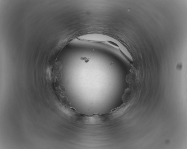 X0000096410286200802071701