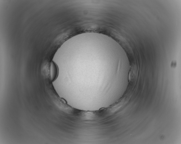 X0000096410287200802071701