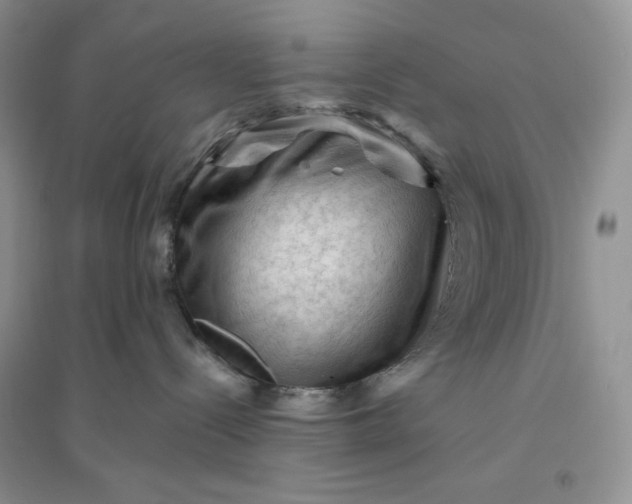 X0000096410288200802071701