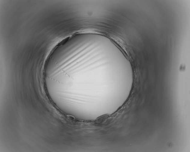 X0000096410289200802071700