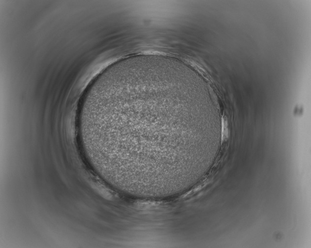 X0000096410291200802071700