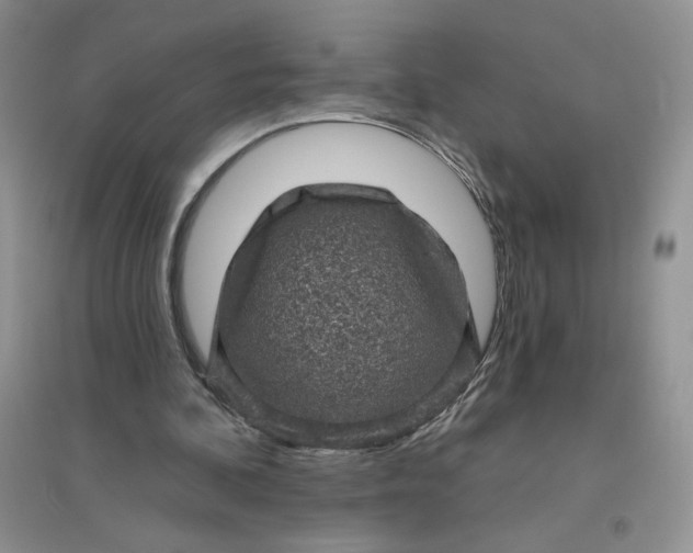 X0000096410292200802071700