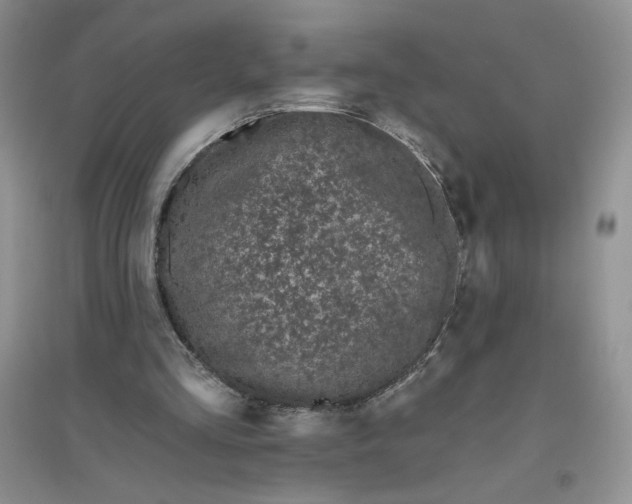 X0000096410293200802071700