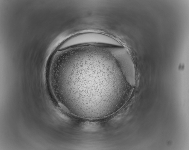 X0000096410296200802071700