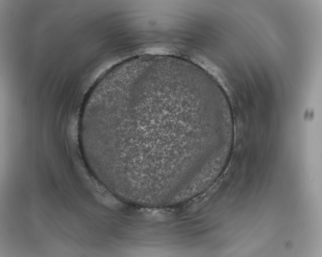 X0000096410297200802071700