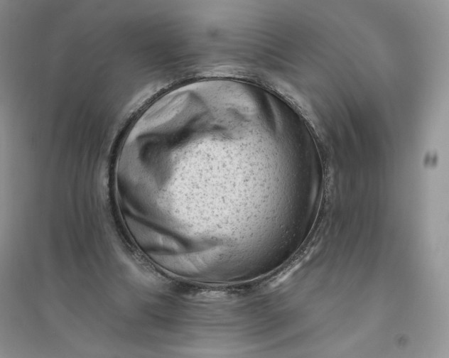 X0000096410298200802071700