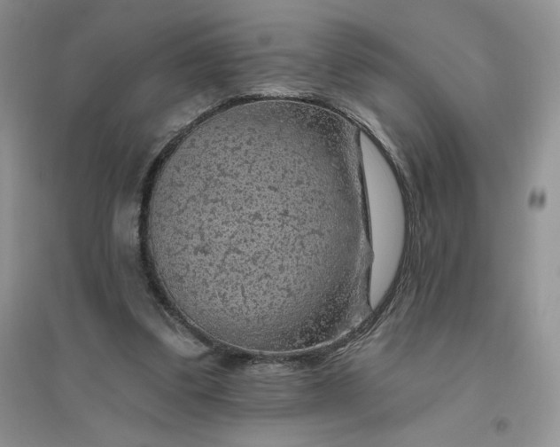 X0000096410299200802071700