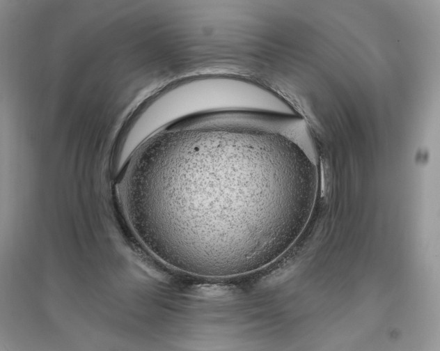 X0000096410300200802071700