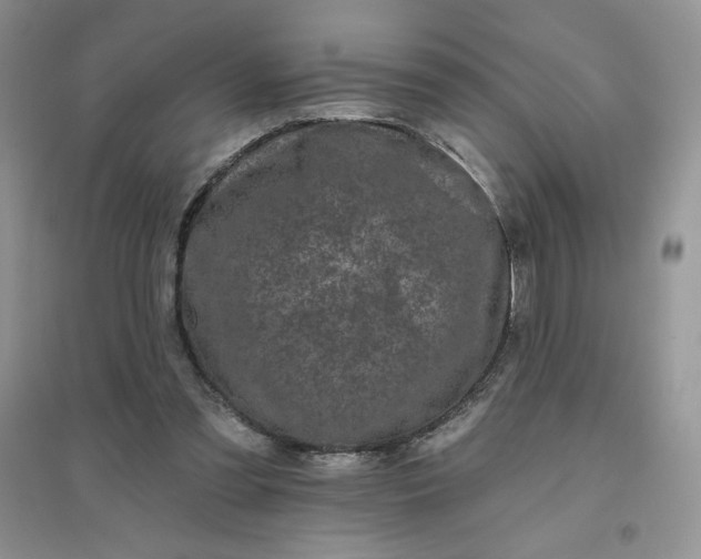 X0000096410301200802071700