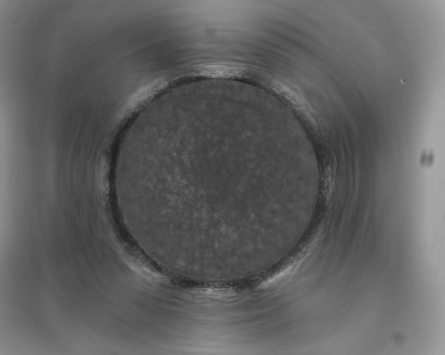 X0000096410303200802071700