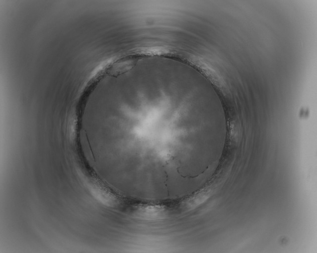 X0000096410304200802071700