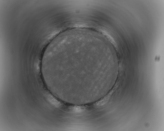 X0000096410305200802071700