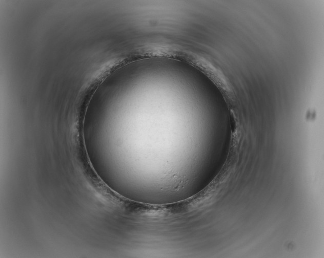 X0000096410306200802071700