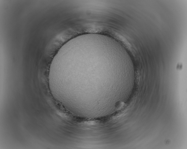 X0000096410307200802071700