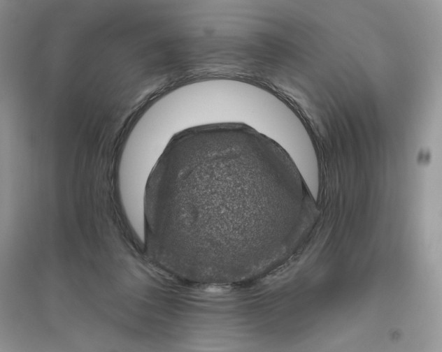 X0000096410308200802071700