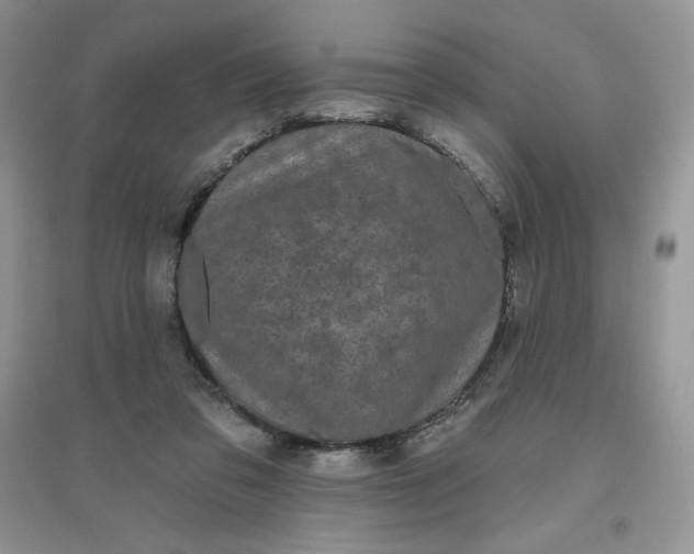 X0000096410309200802071700