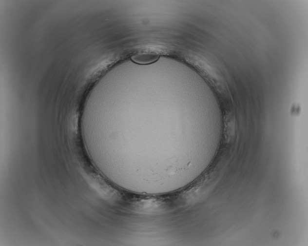 X0000096410310200802071700