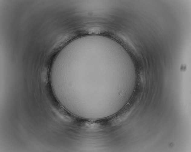 X0000096410311200802071700