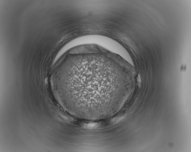 X0000096410312200802071700