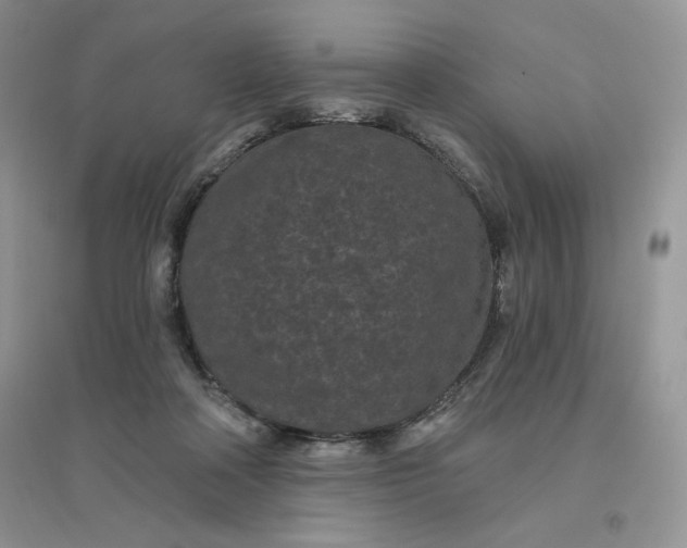 X0000096410314200802071700