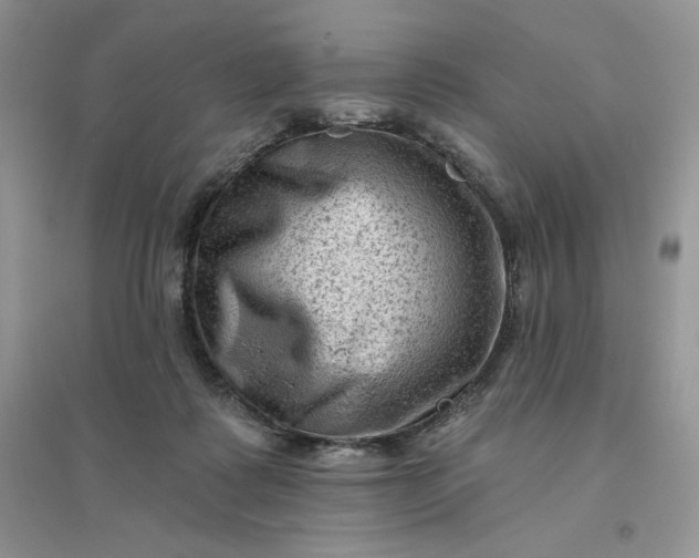 X0000096410315200802071700