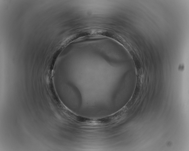 X0000096410316200802071700