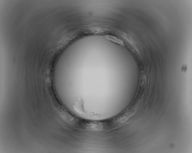 X0000096410317200802071700