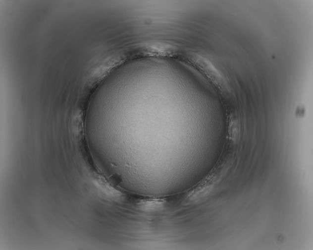 X0000096410318200802071700