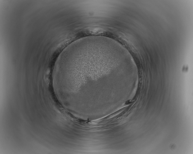 X0000096410319200802071700