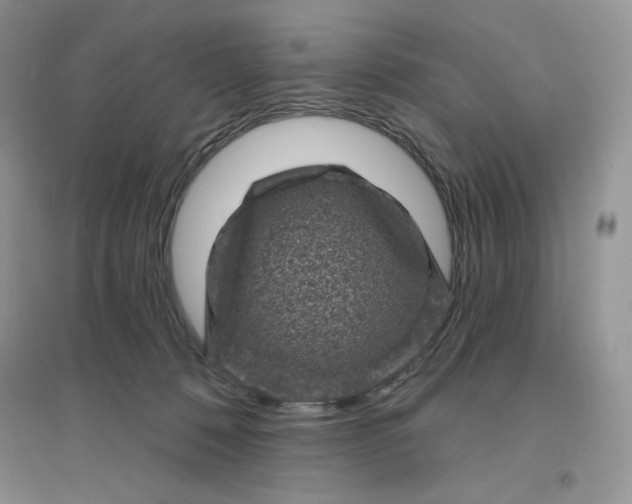 X0000096410320200802071700