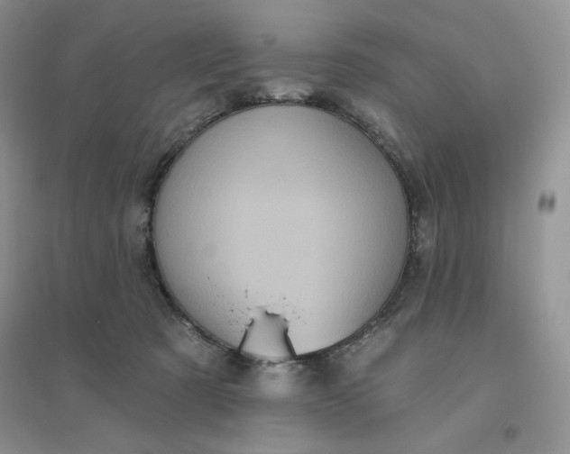 X0000096410321200802071700