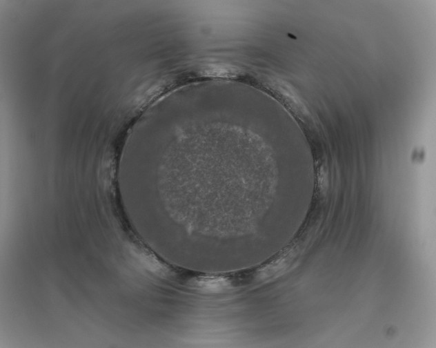 X0000096410322200802071700