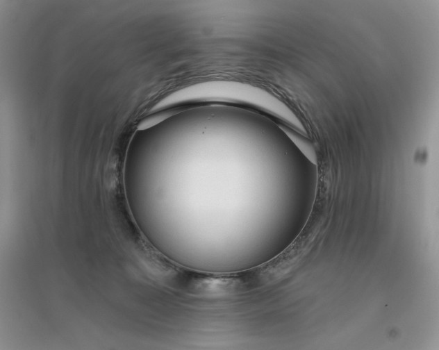 X0000096410323200802071700