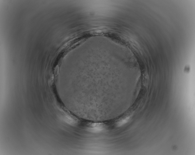 X0000096410324200802071700