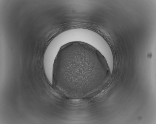 X0000096410325200802071700