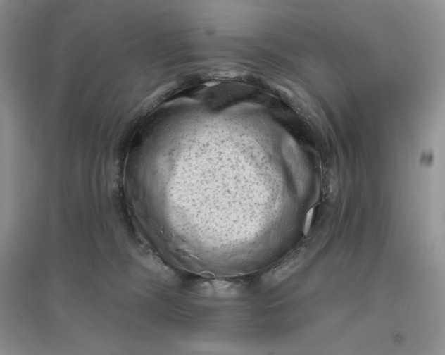 X0000096410326200802071700