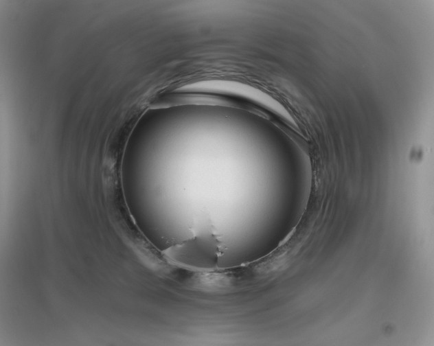 X0000096410327200802071700