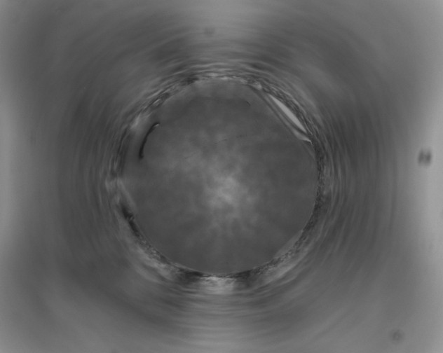 X0000096410328200802071700