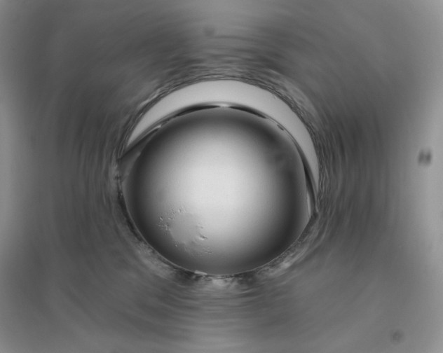 X0000096410329200802071700