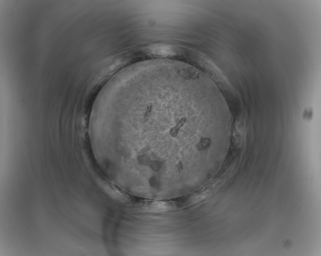 X0000096410330200802071700