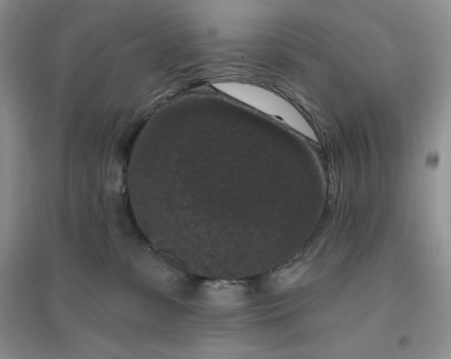 X0000096410331200802071700