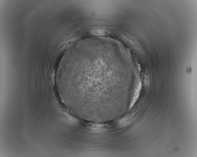 X0000096410332200802071700