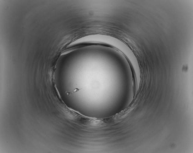 X0000096410333200802071700