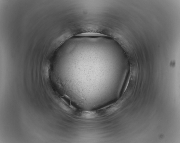 X0000096410334200802071700