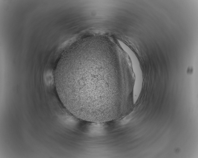 X0000096410335200802071700