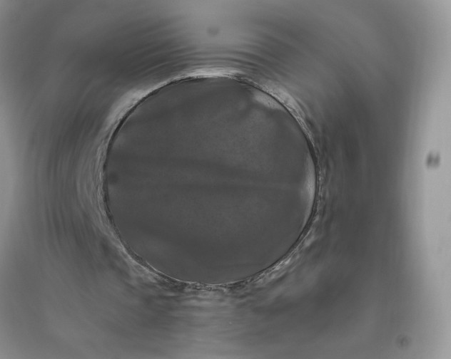 X0000096410337200802071659