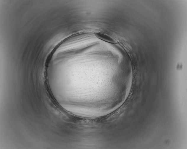 X0000096410338200802071659