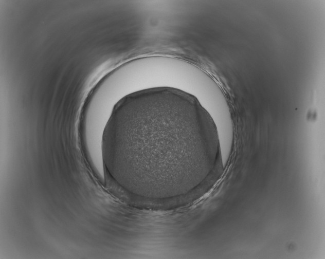 X0000096410340200802071659