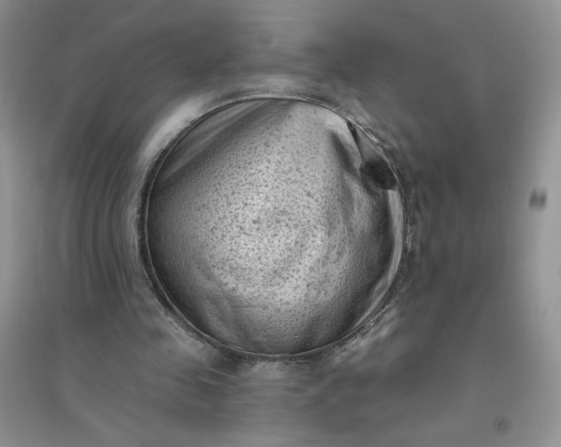 X0000096410341200802071659